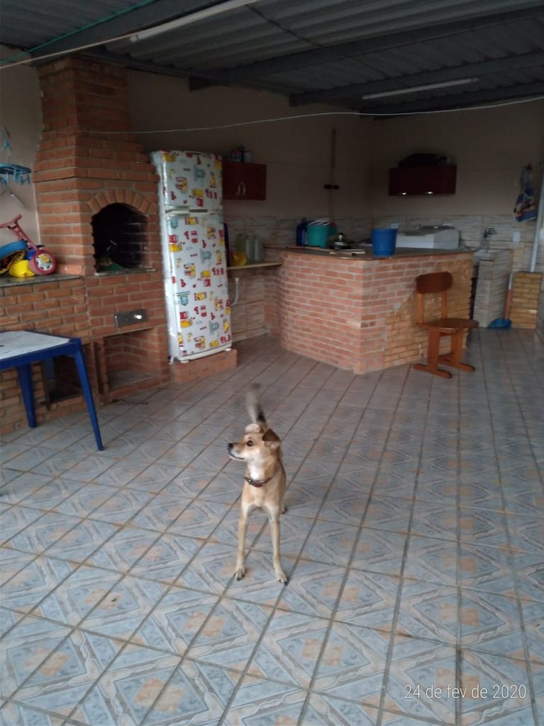 Sobrado na Vila Nova Yorque Sobrado na Vila Nova Yorque
